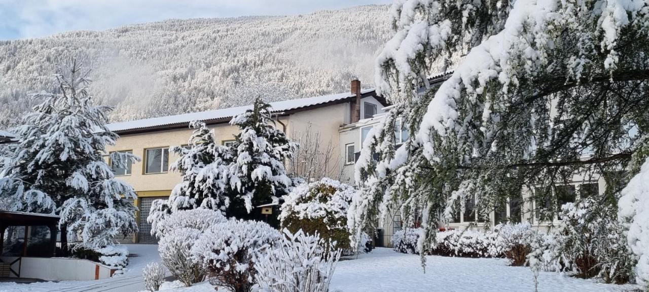 Apartment Wild - Im Skigebiet Gerlitzen & Ossiacher See Bodensdorf Exterior foto